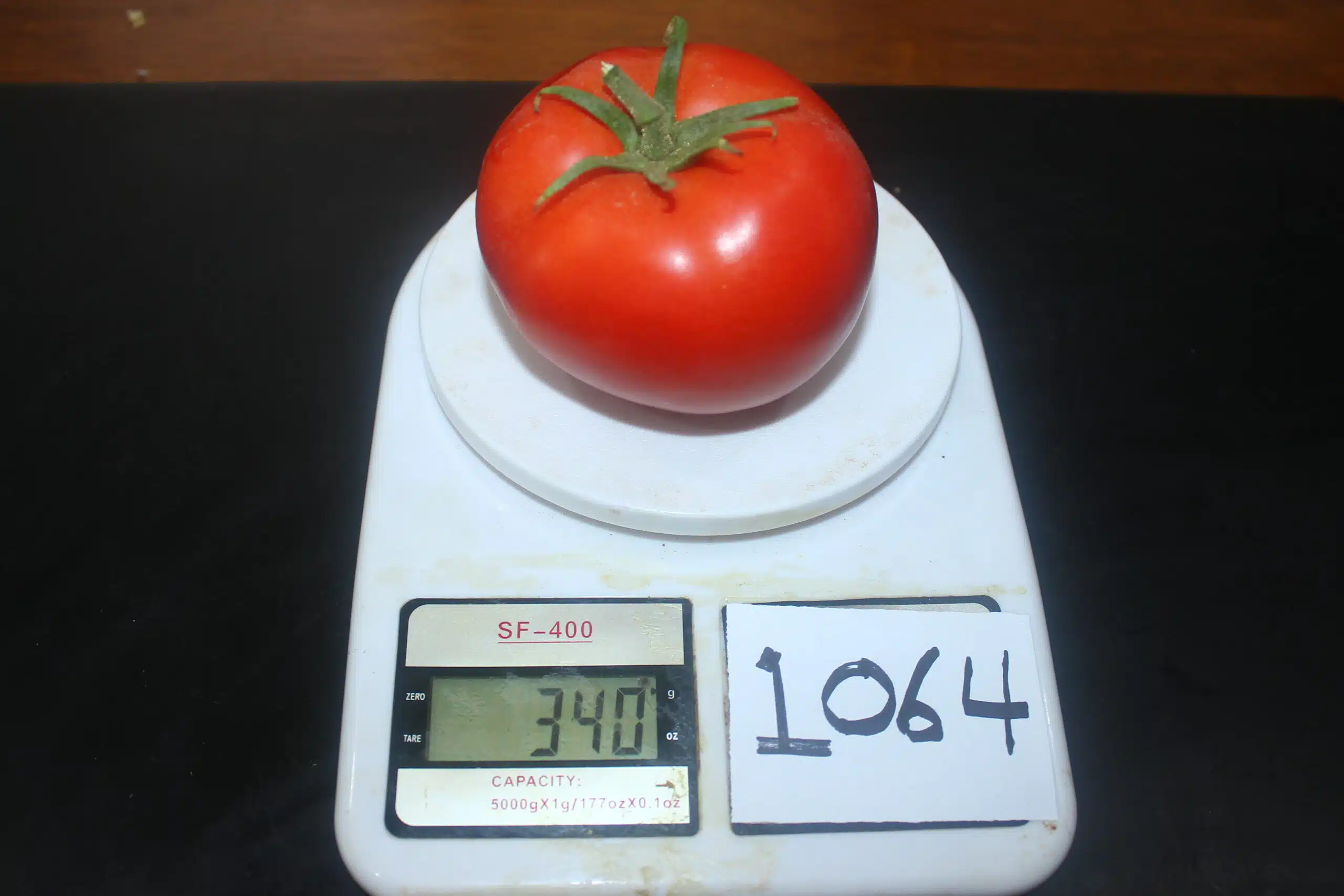 tomatoさん専用 TS-1064 F1 – Trust Seeds